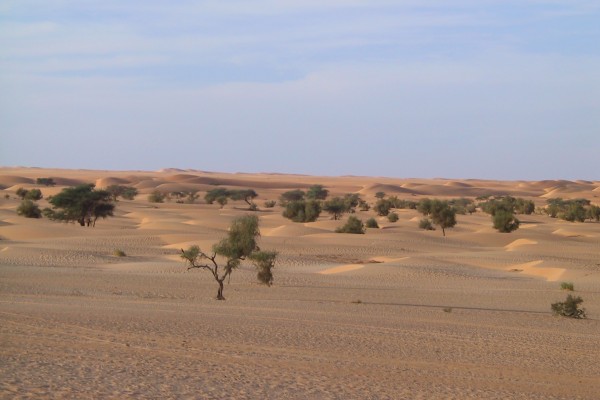 DocTrotter en Mauritanie : Transmauritanie